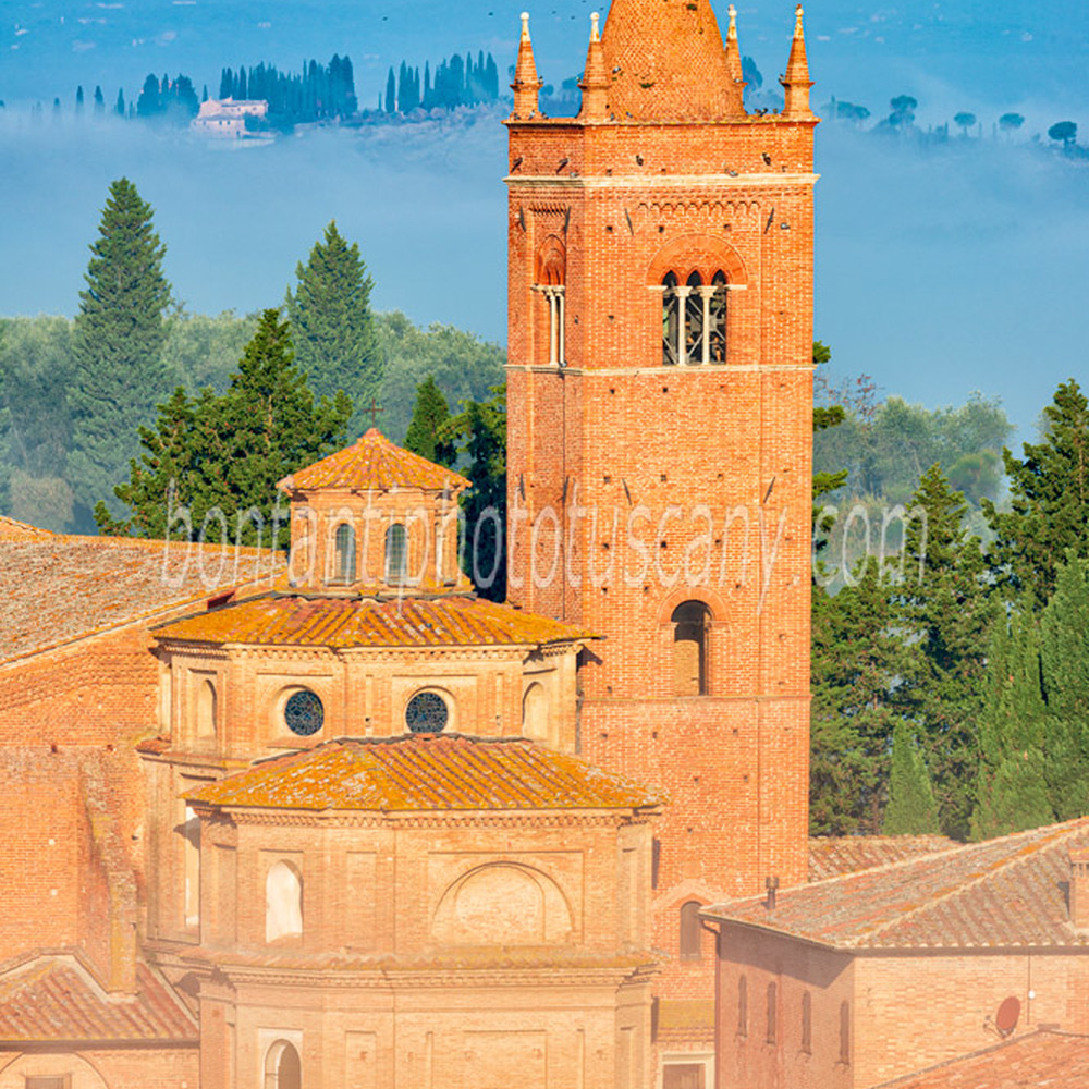 abbazia di monte oliveto maggiore - veduta nel paesaggio #8