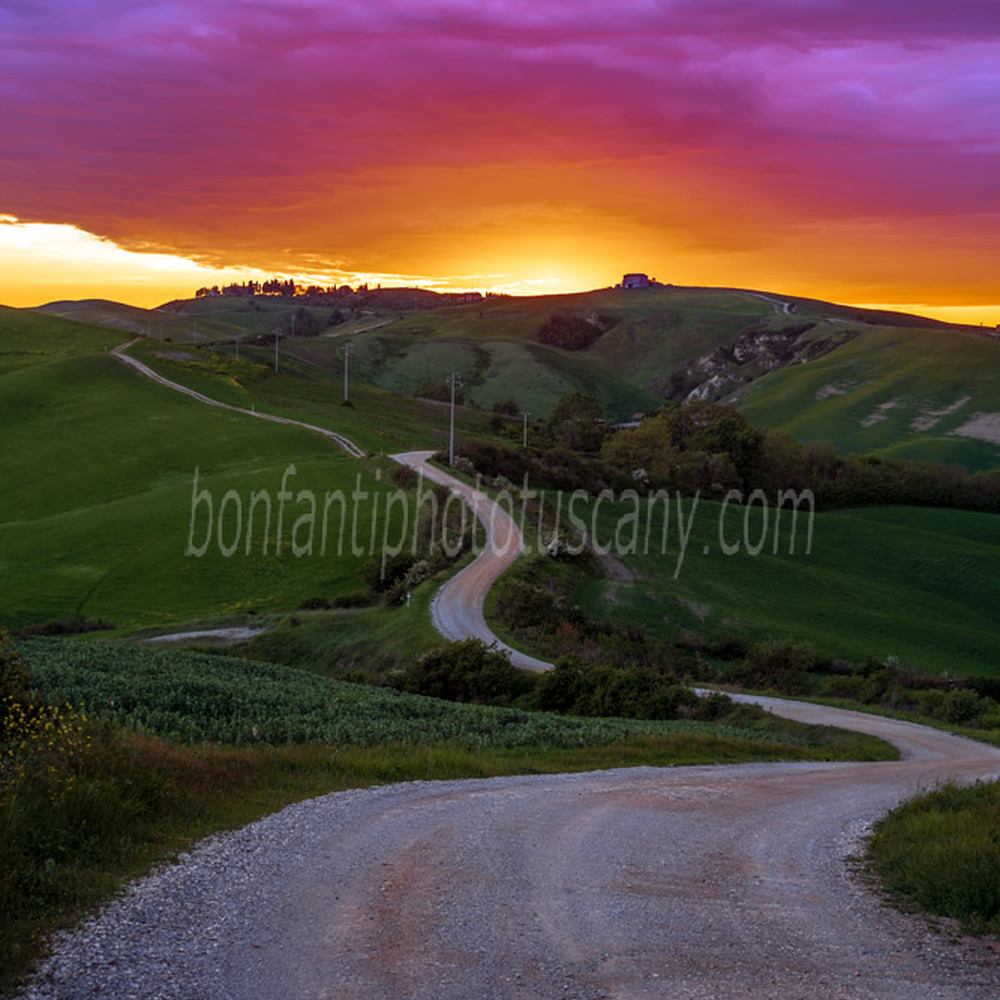 paesaggio delle crete senesi #66 la strada del monte sante marie al tramonto