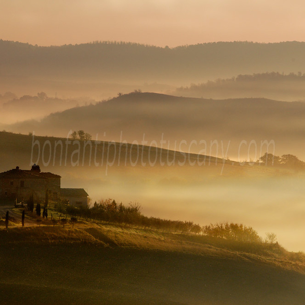 paesaggio delle crete senesi #26 misty morning al monte sante marie