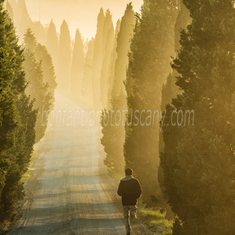 paesaggio delle crete senesi #46 un jogger a leonina