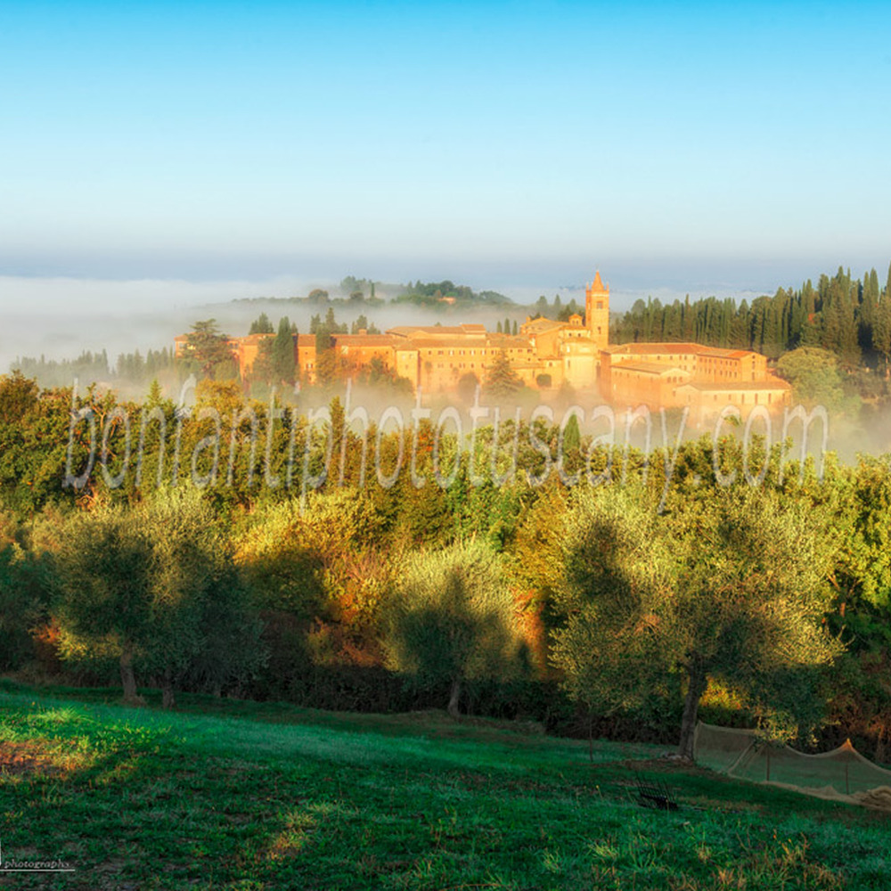 abbazia di monte oliveto maggiore - veduta nel paesaggio #1