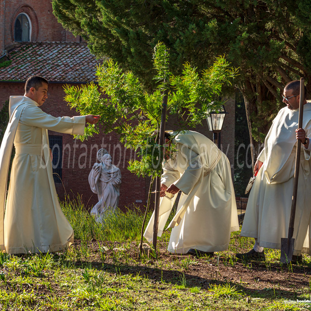abbazia di monte oliveto maggiore - monaci al lavoro nell'orto.jpg