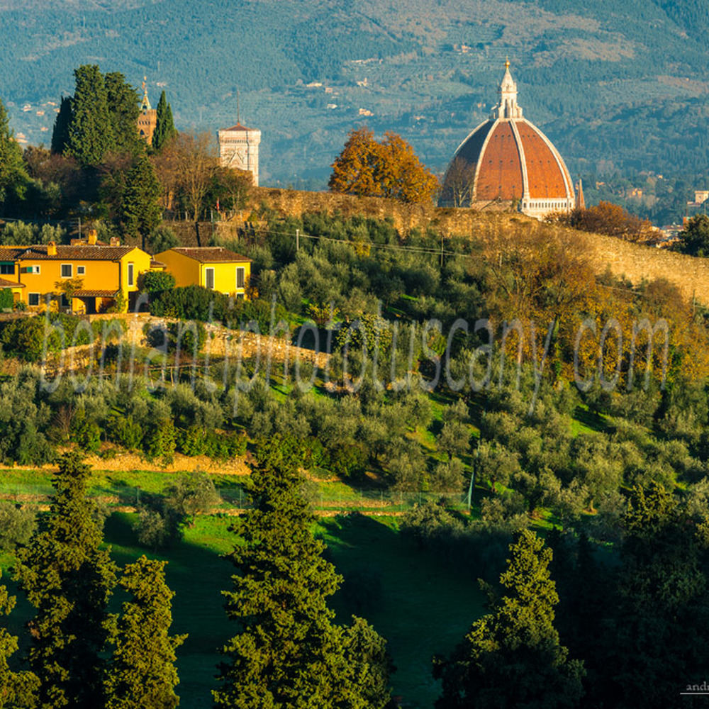 archivio fotografico colline di Firenze di Andrea Bonfanti