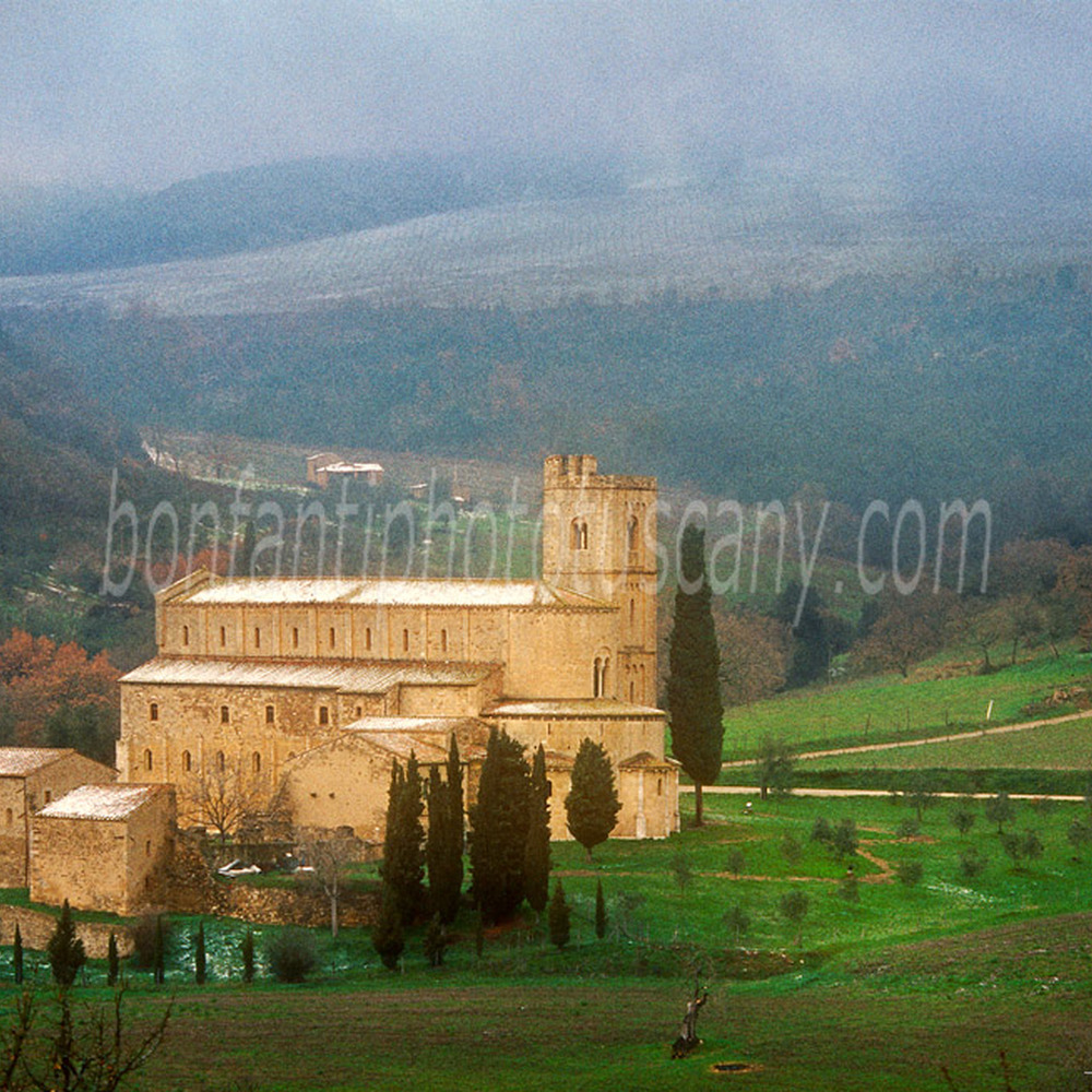 abbazia di sant'antimo nel paesaggio #5