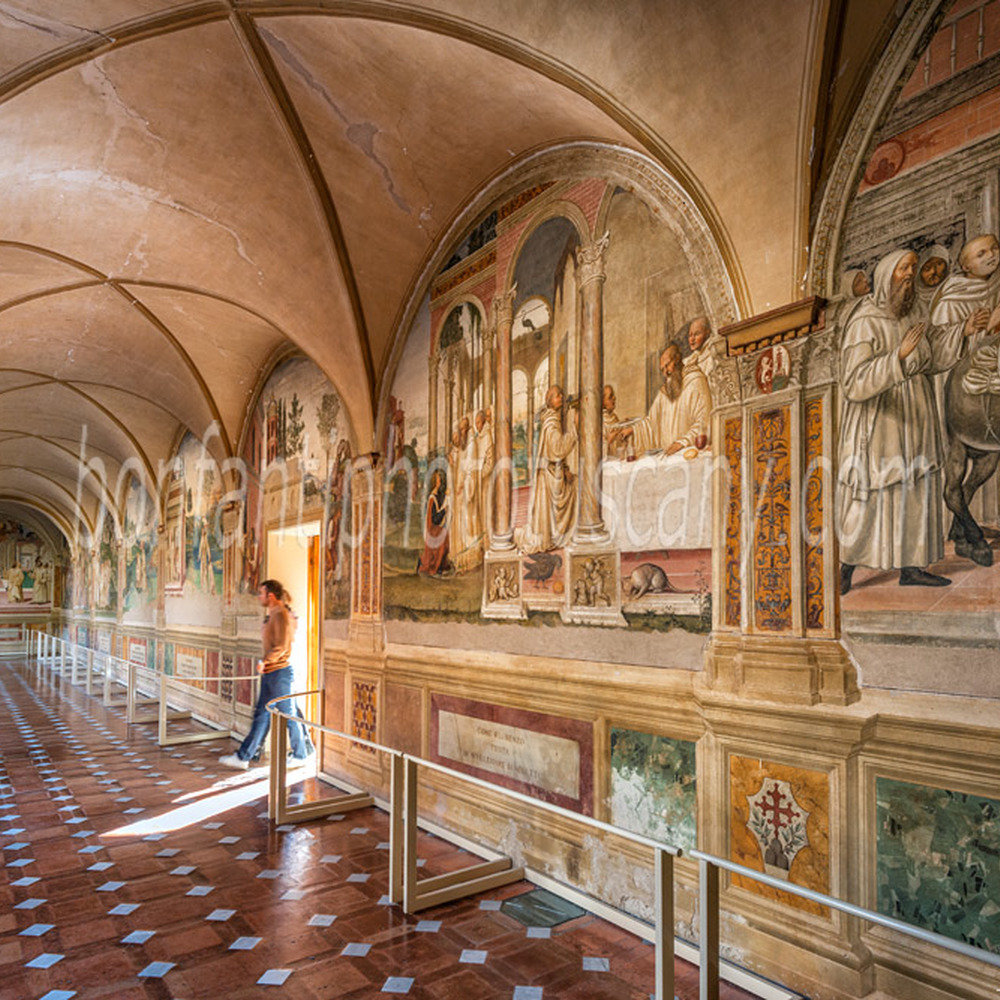 abbazia di monte oliveto maggiore - chiostro grande #9.jpg