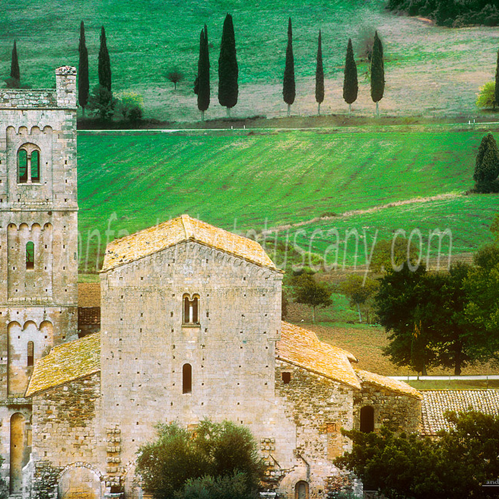 abbazia di sant'antimo nel paesaggio #4