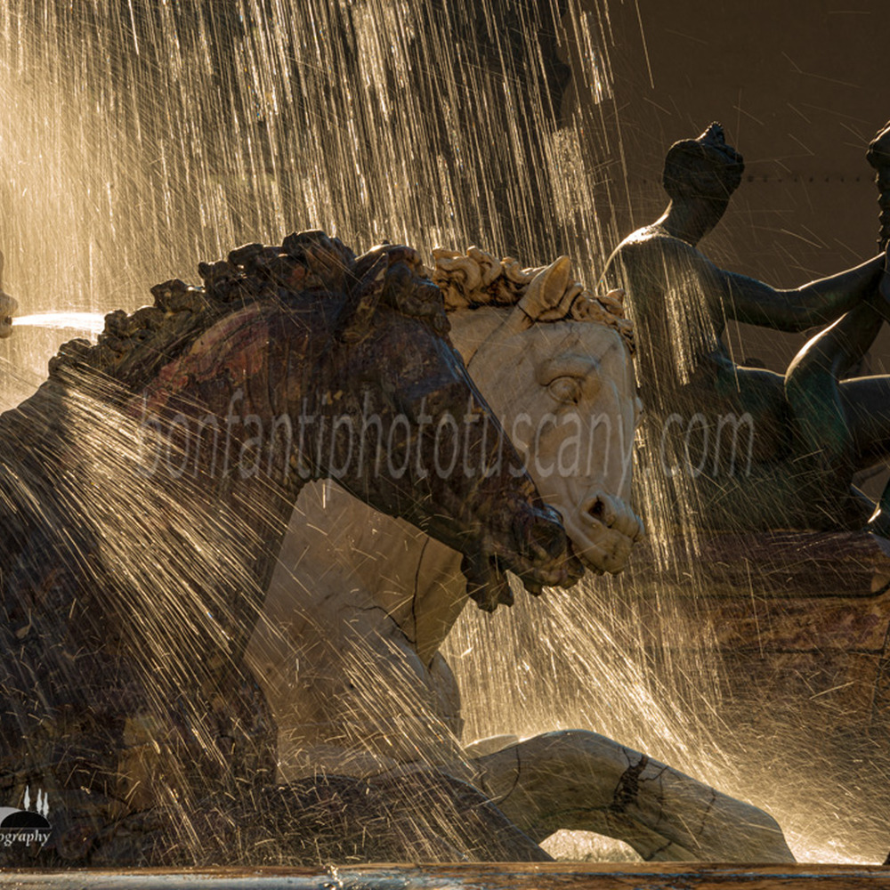zampilli controluce della fontana di piazza signoria.jpg