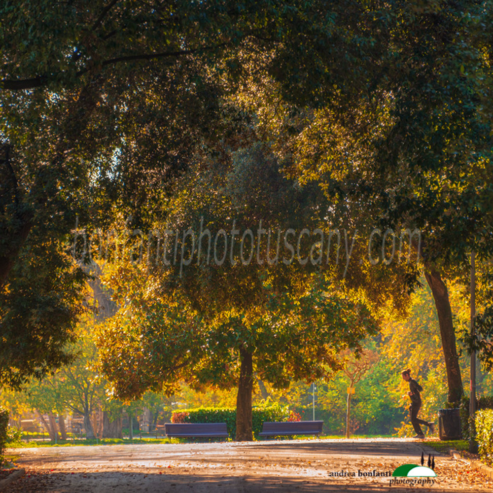 un jogger al parco delle cascine una mattina di novembre.jpg