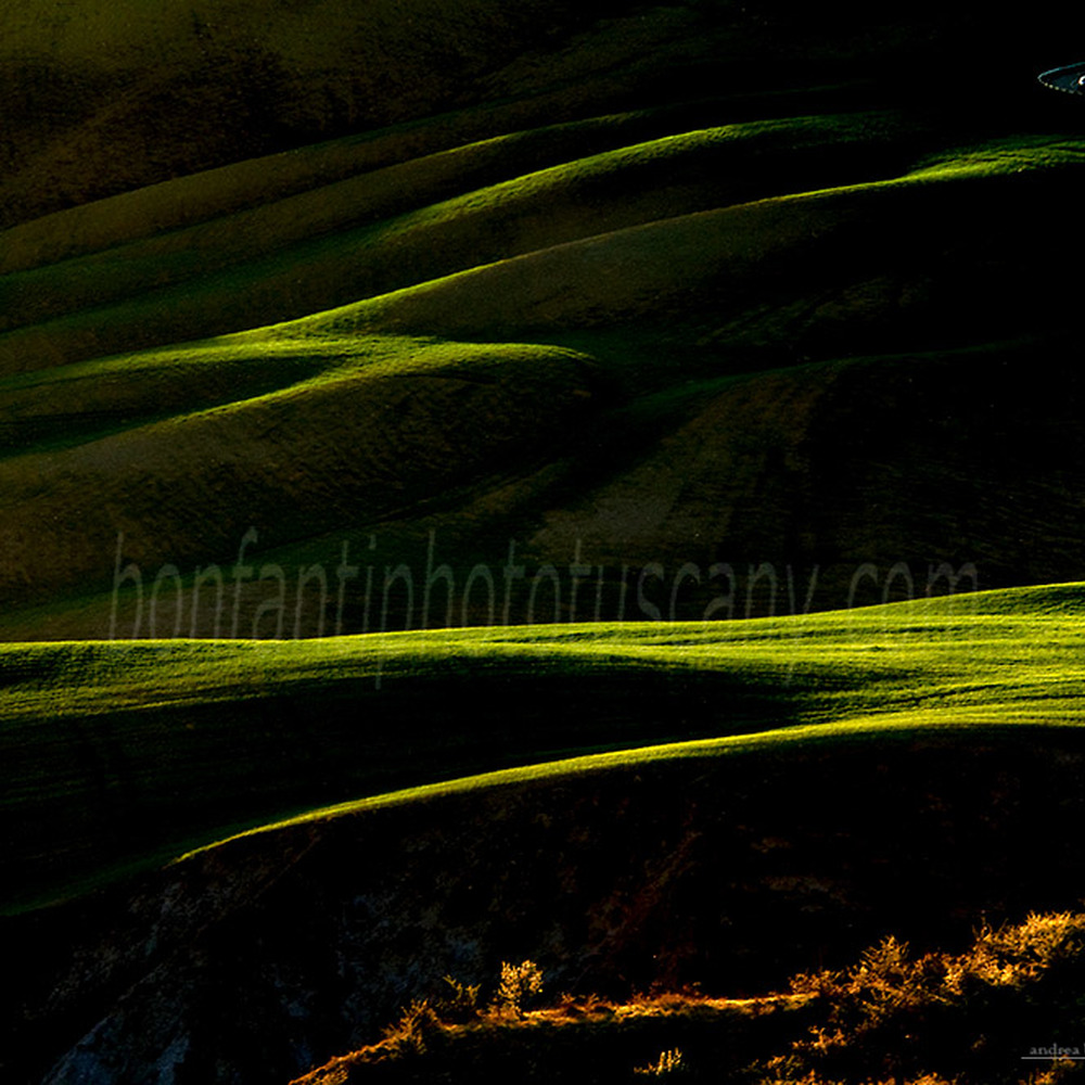 paesaggio delle crete senesi #22 chiaroscuro a menchiari