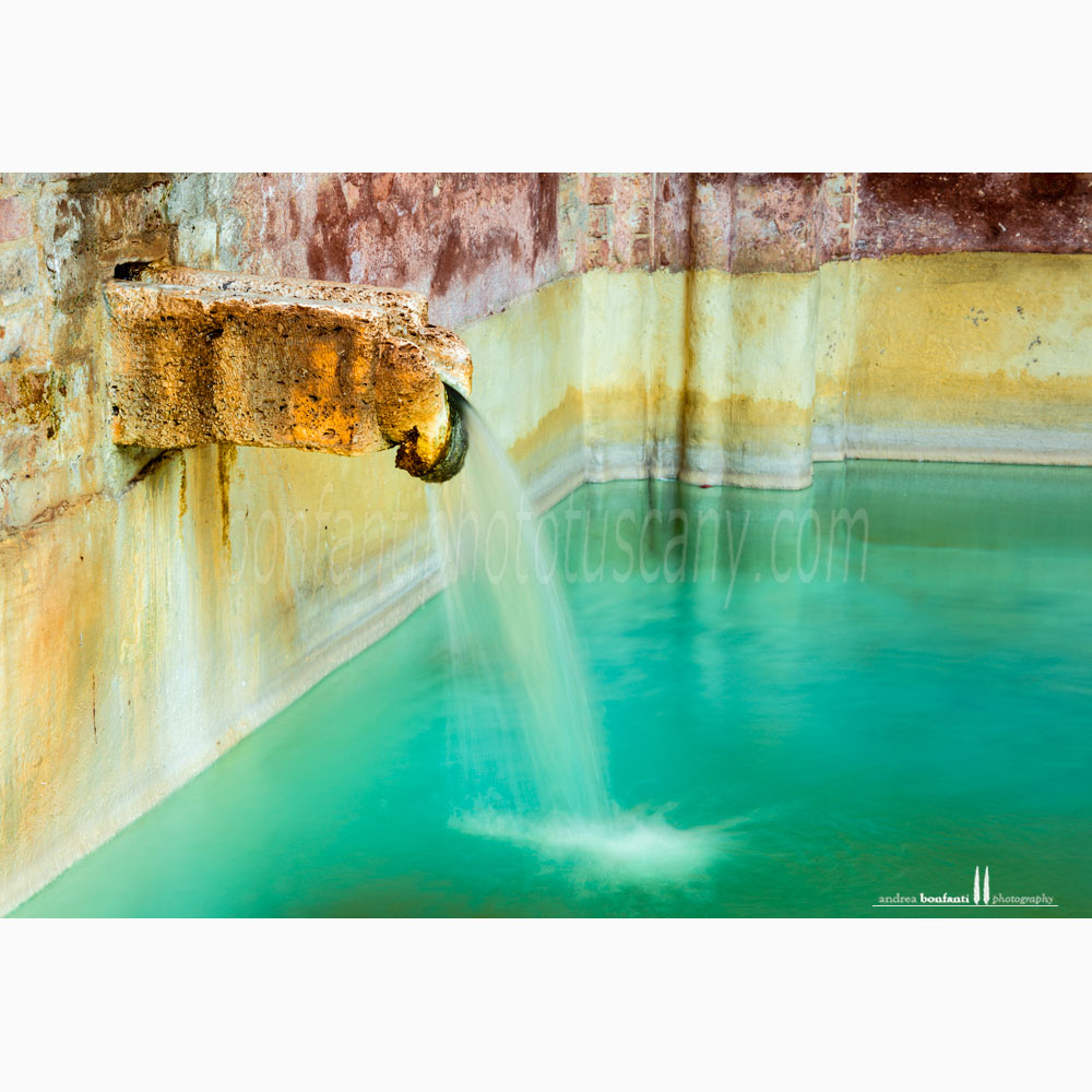 Siena - fonte di ovile #3 dettaglio