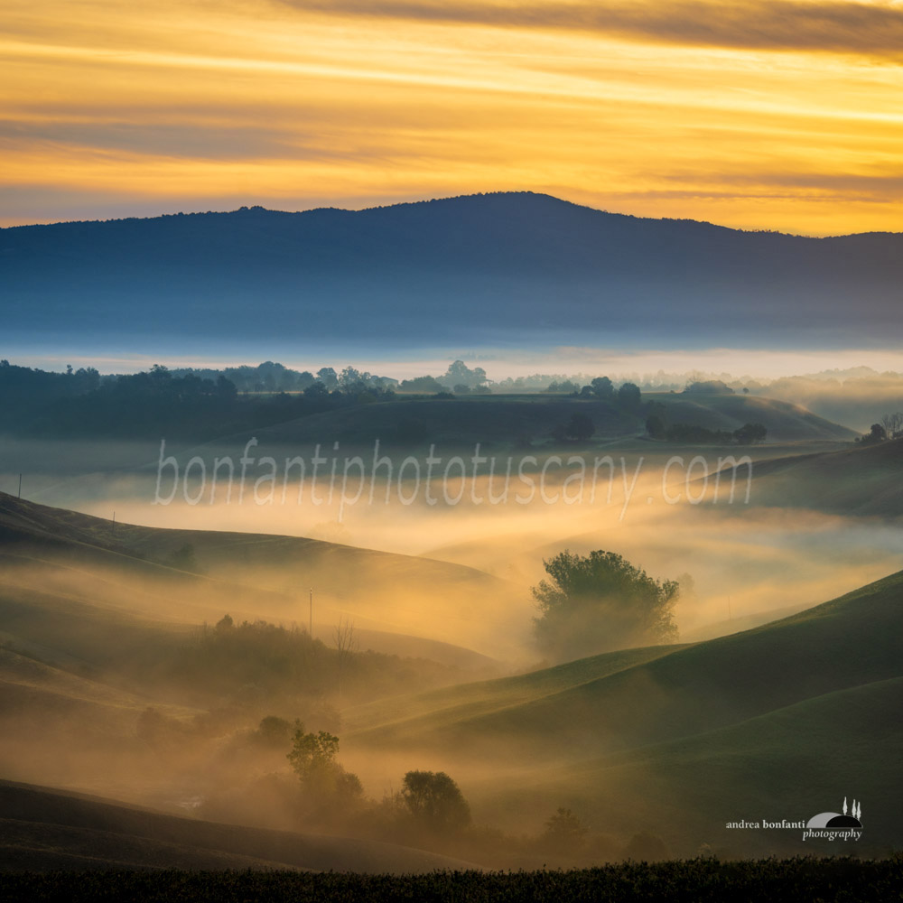il risveglio della terra.jpg