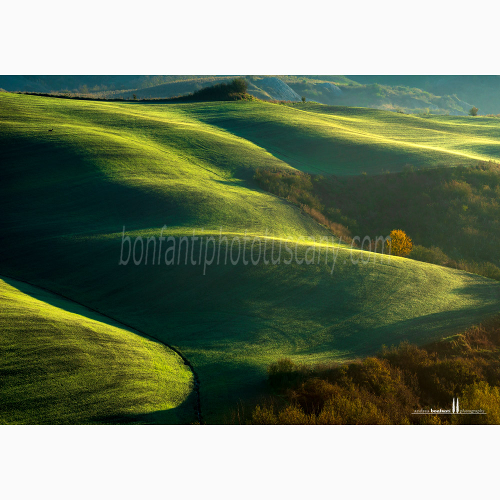crete senesi landscape -  asciano #3.jpg crete senesi landscape -  asciano #3.jpg