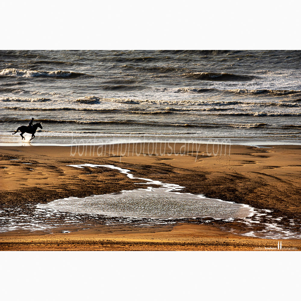 st.idesbald north sea - a horse ride on the shore.jpg