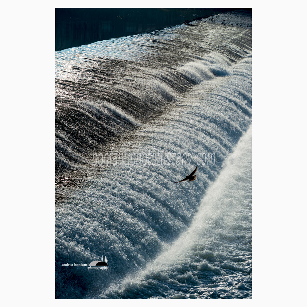 la tumultuosa pescaia di santa rosa.jpg