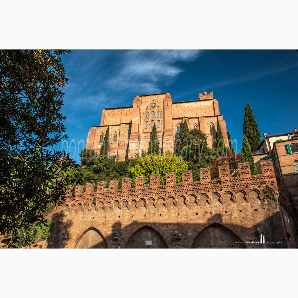 Siena - fonte branda #1