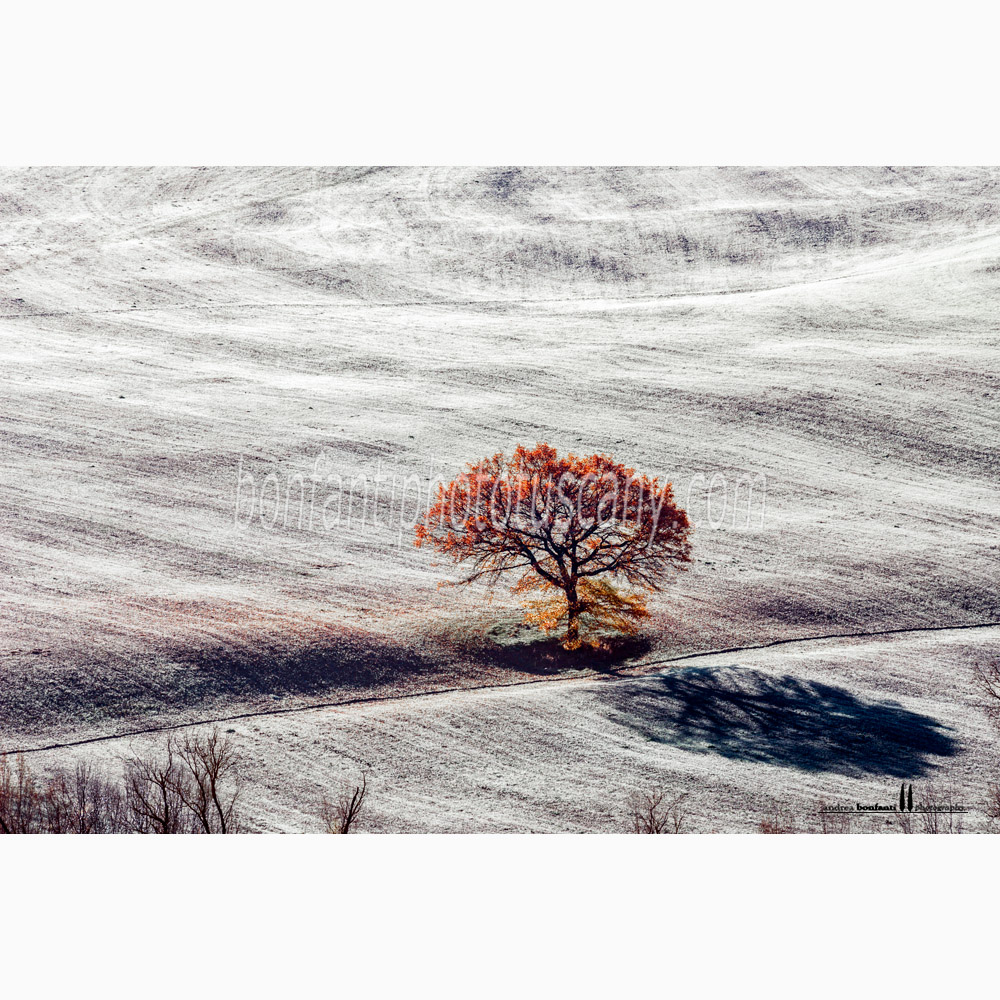 paesaggio delle crete senesi Inverno #7 monte sante marie