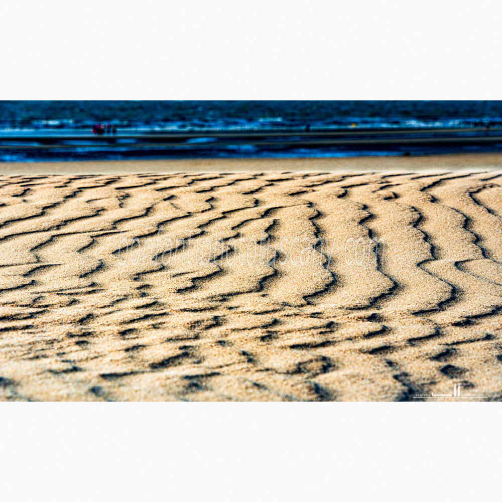 st.idesbald north sea - wind texture on the sand.jpg