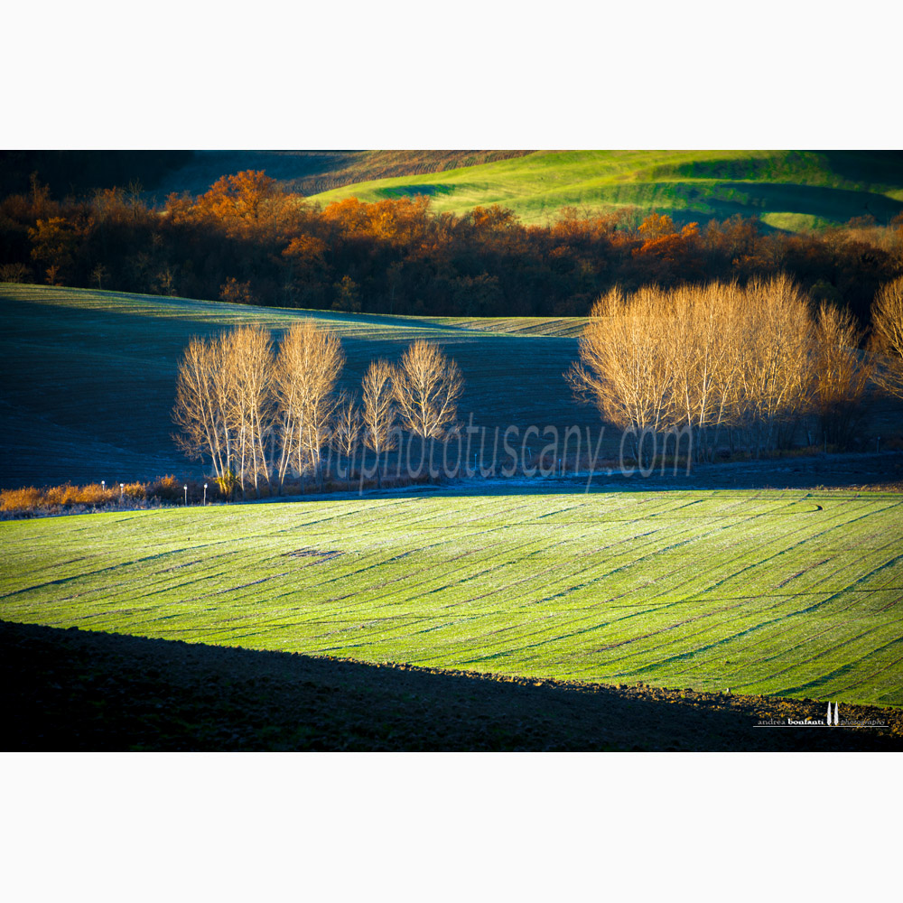 paesaggio delle crete senesi Inverno #3 montaperti