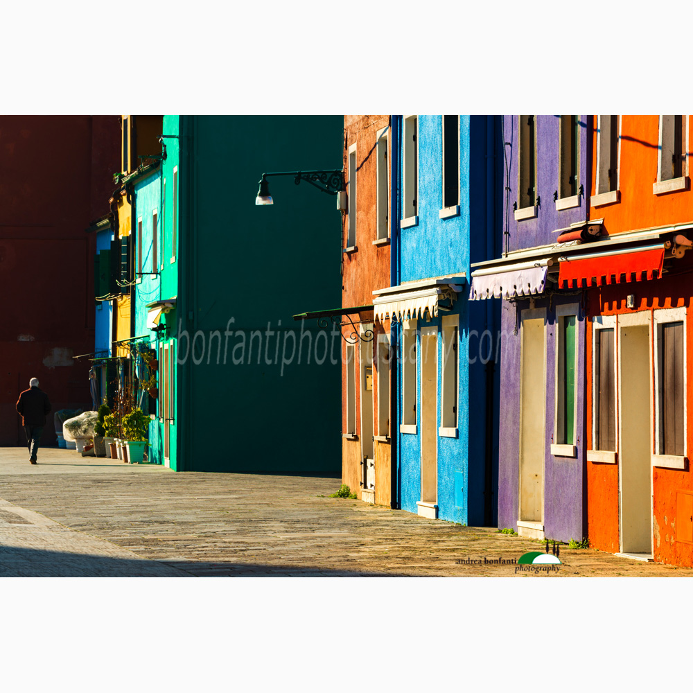 chiaroscuro di mattina lungo un canale.jpg