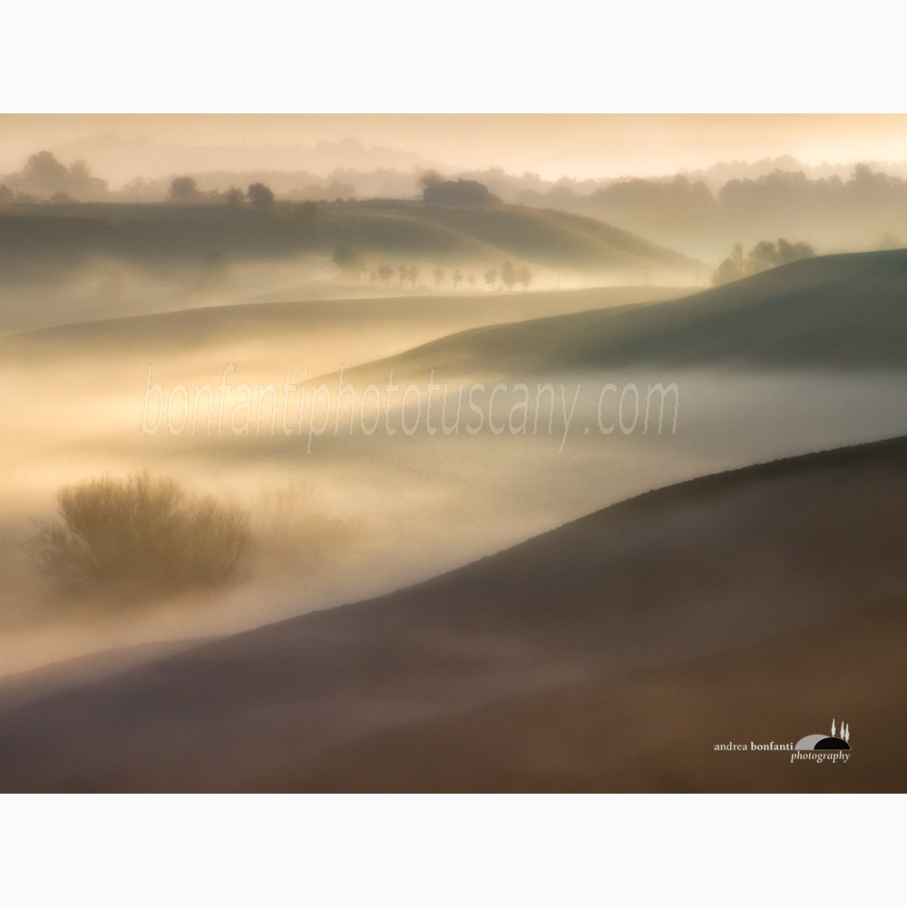 uno sguardo velato dalla nebbia.jpg