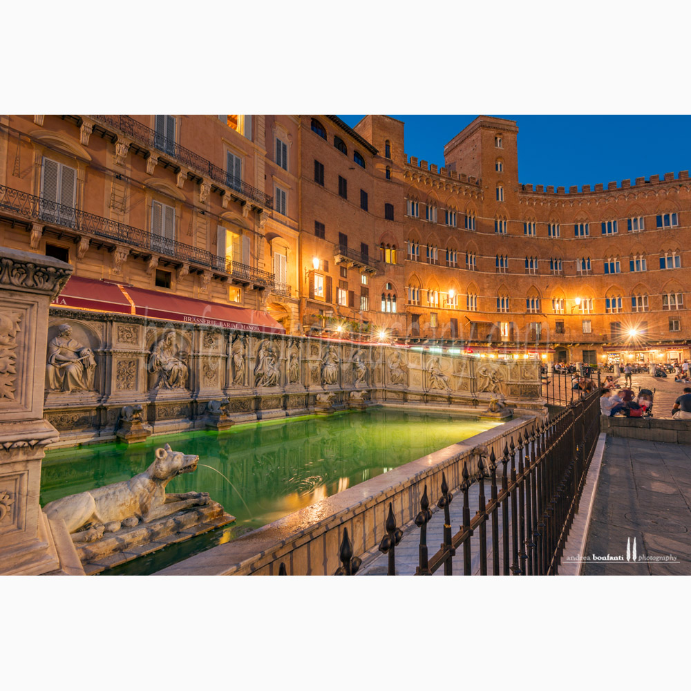 Siena - fonte gaia #8 notturno