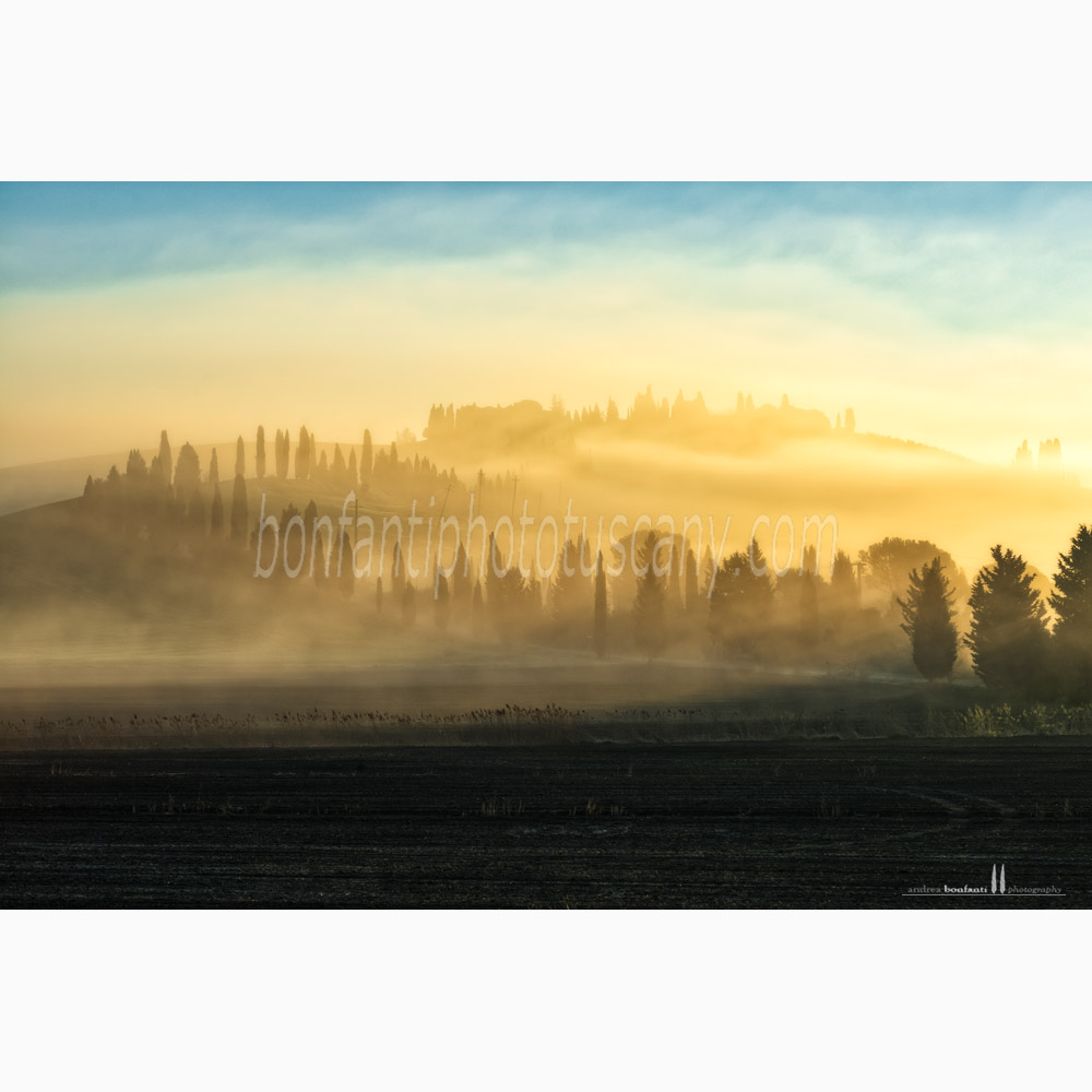 paesaggio delle crete senesi primavera #6 leonina
