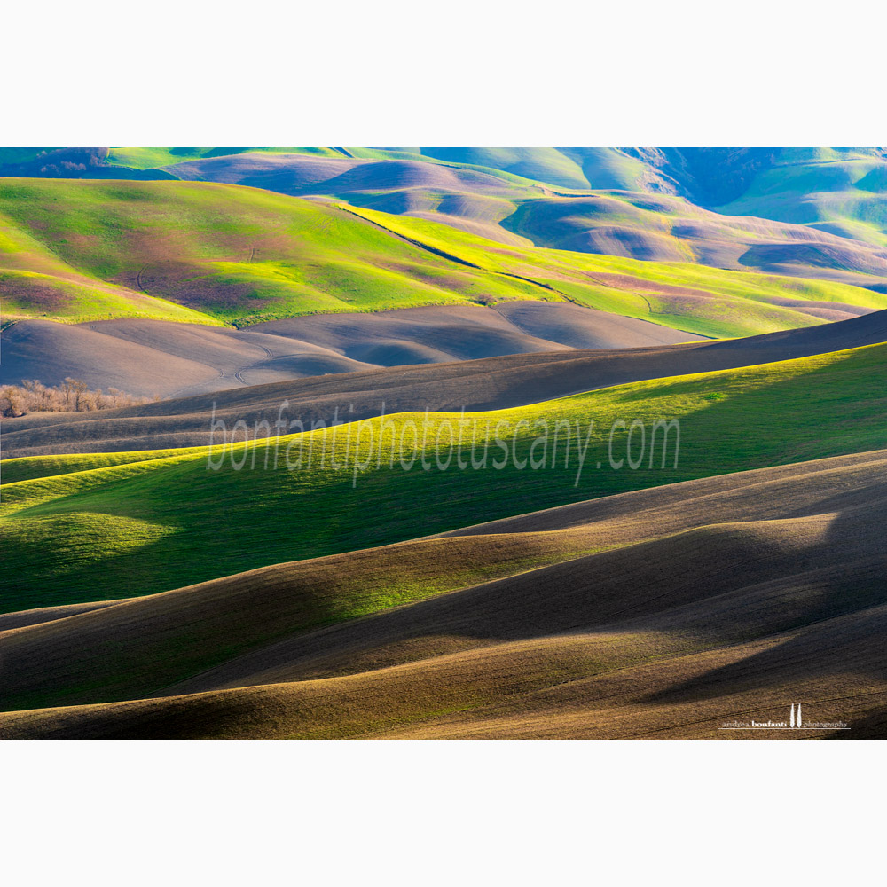 rete senesi landscape - san martino in grania.jpg rete senesi landscape - san martino in grania.jpg