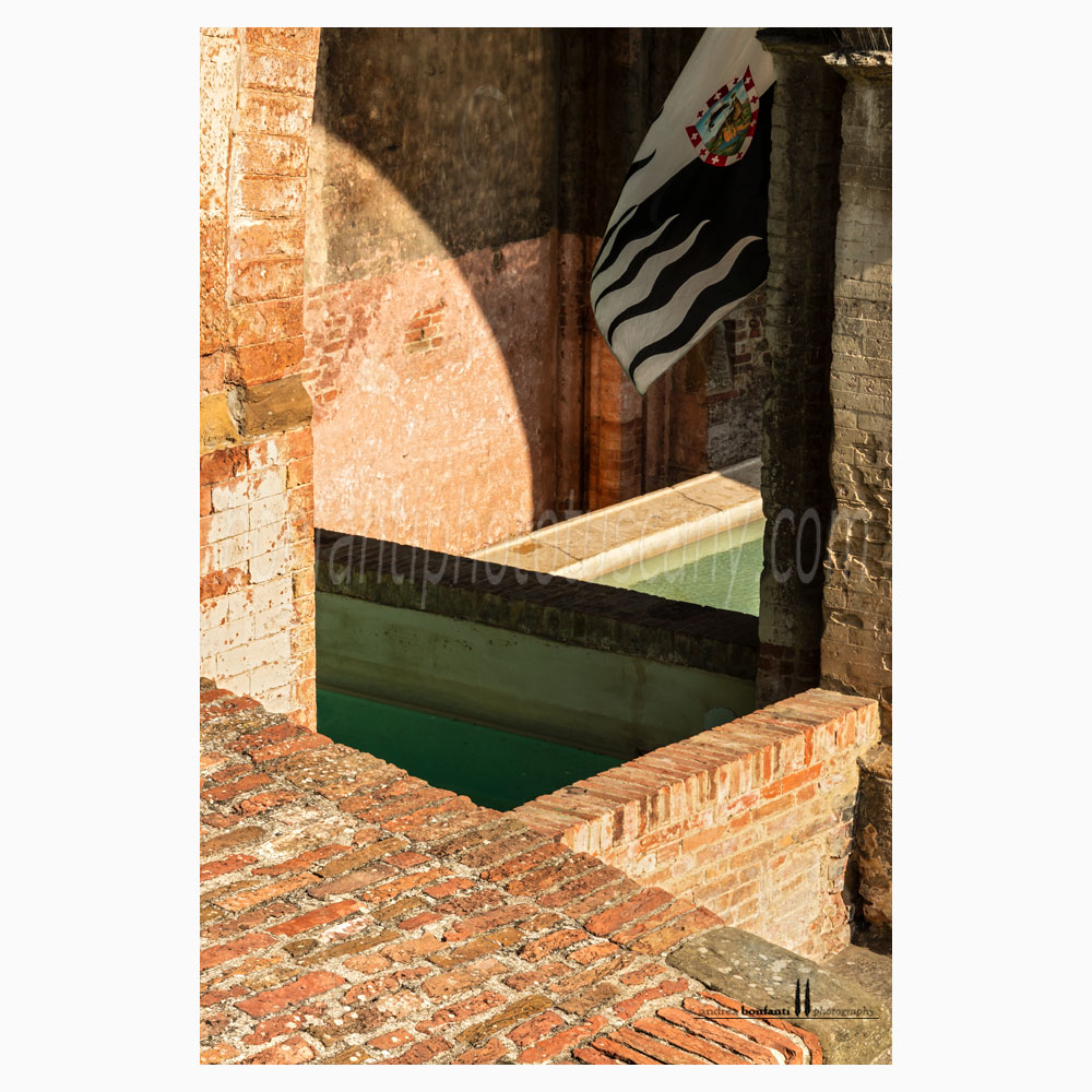 Siena - fonte di ovile #6 dettaglio architettura