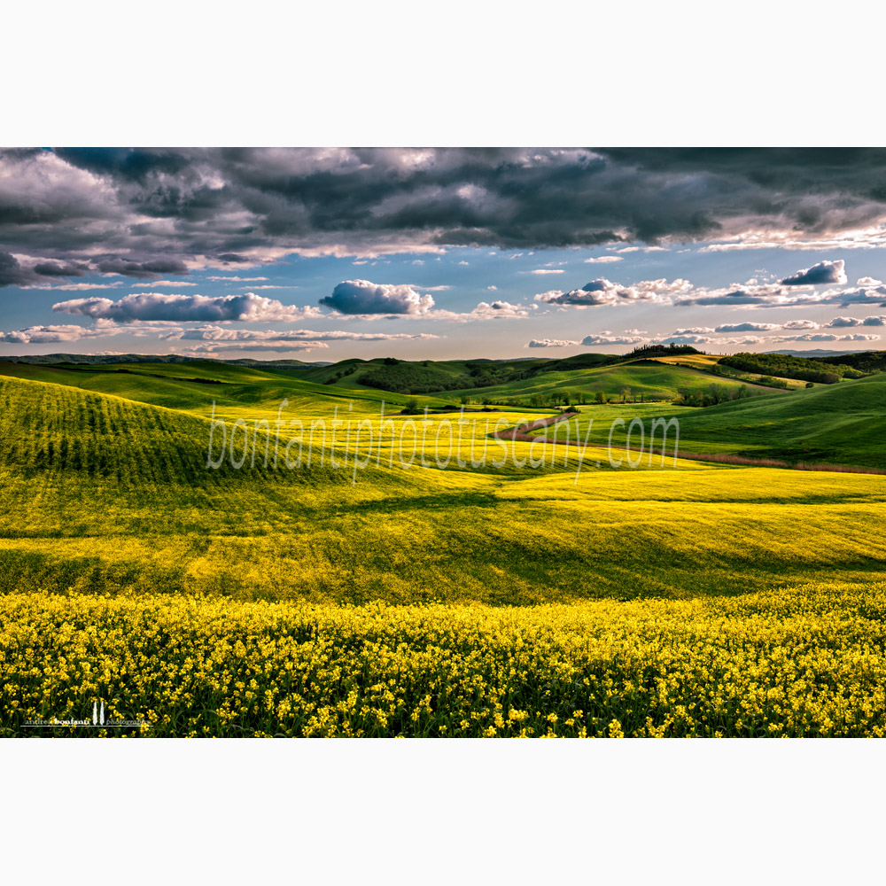 paesaggio delle crete senesi primavera #2 ristoro