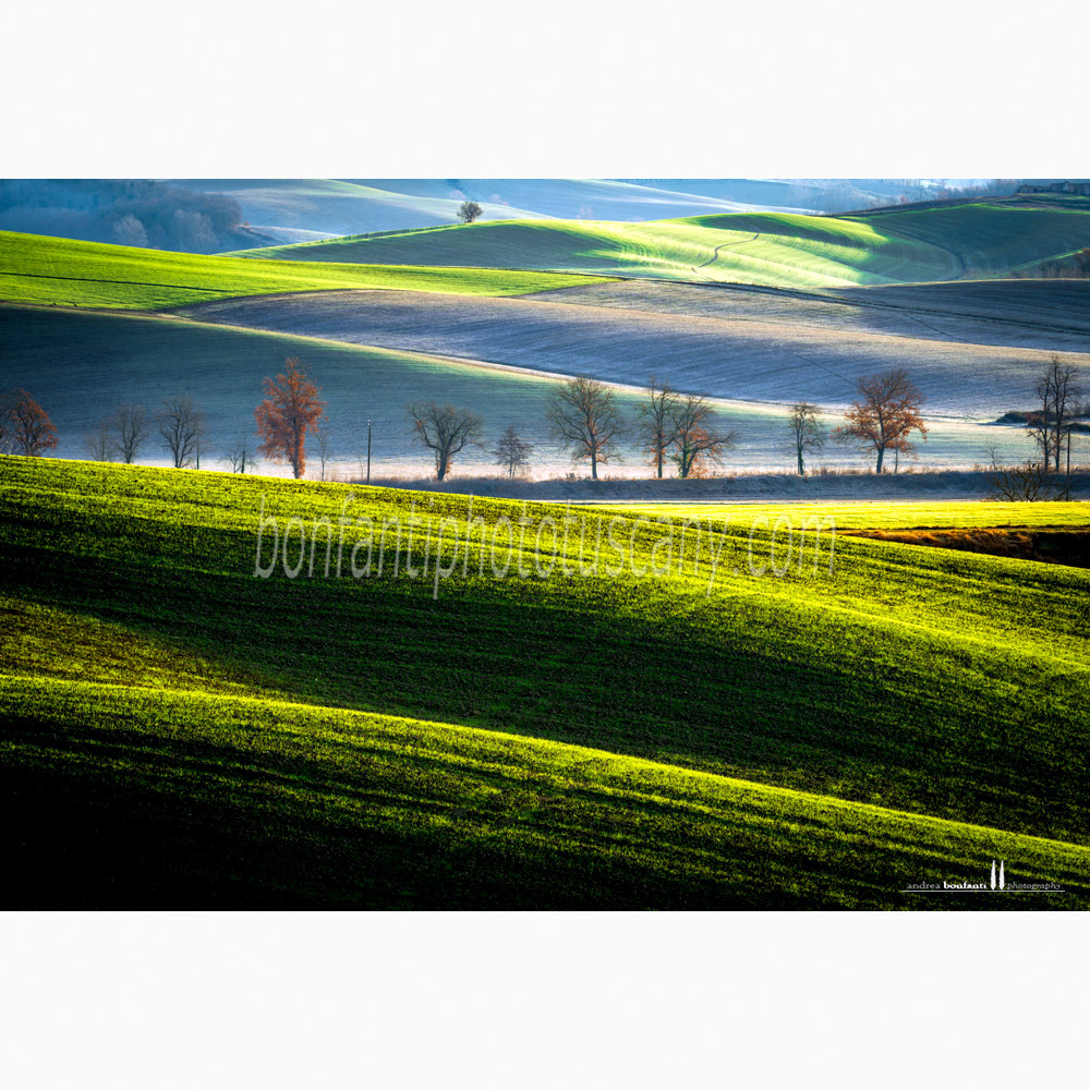 paesaggio delle crete senesi Inverno #2 montaperti