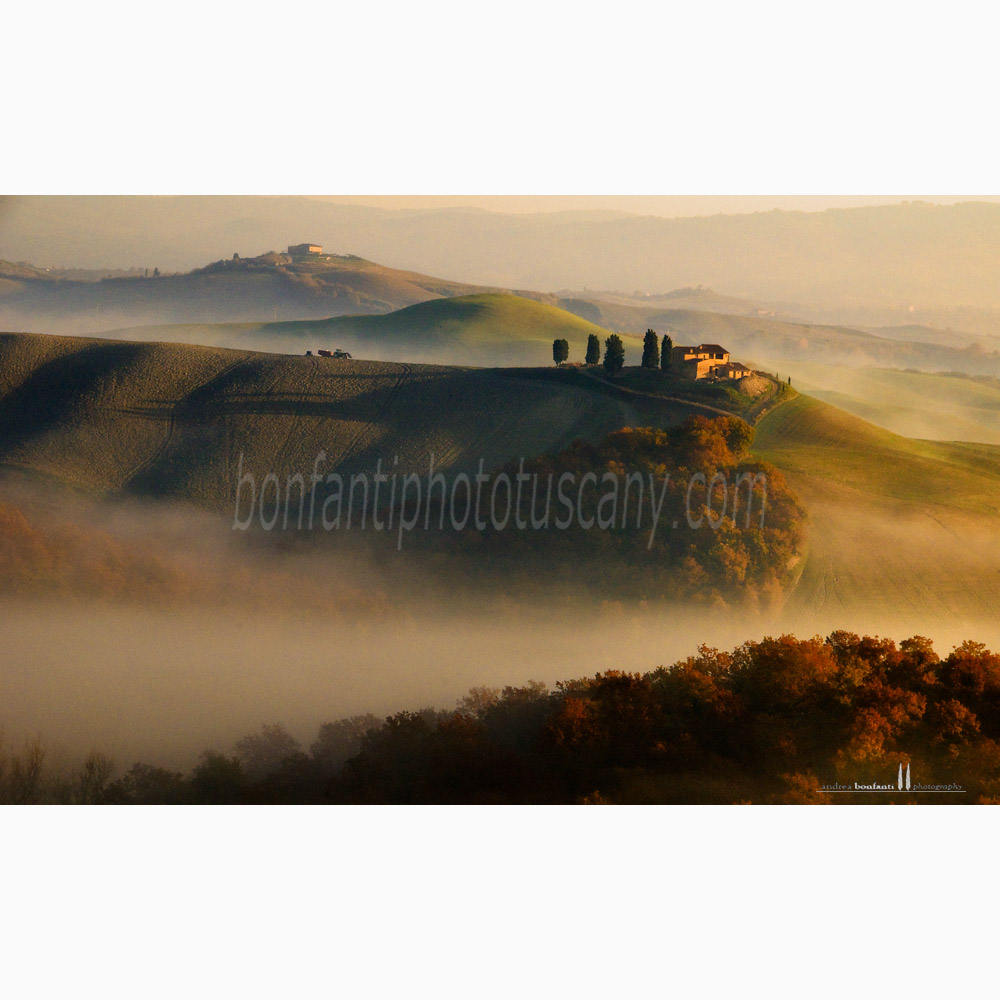 paesaggio delle crete senesi autunno #6 asciano