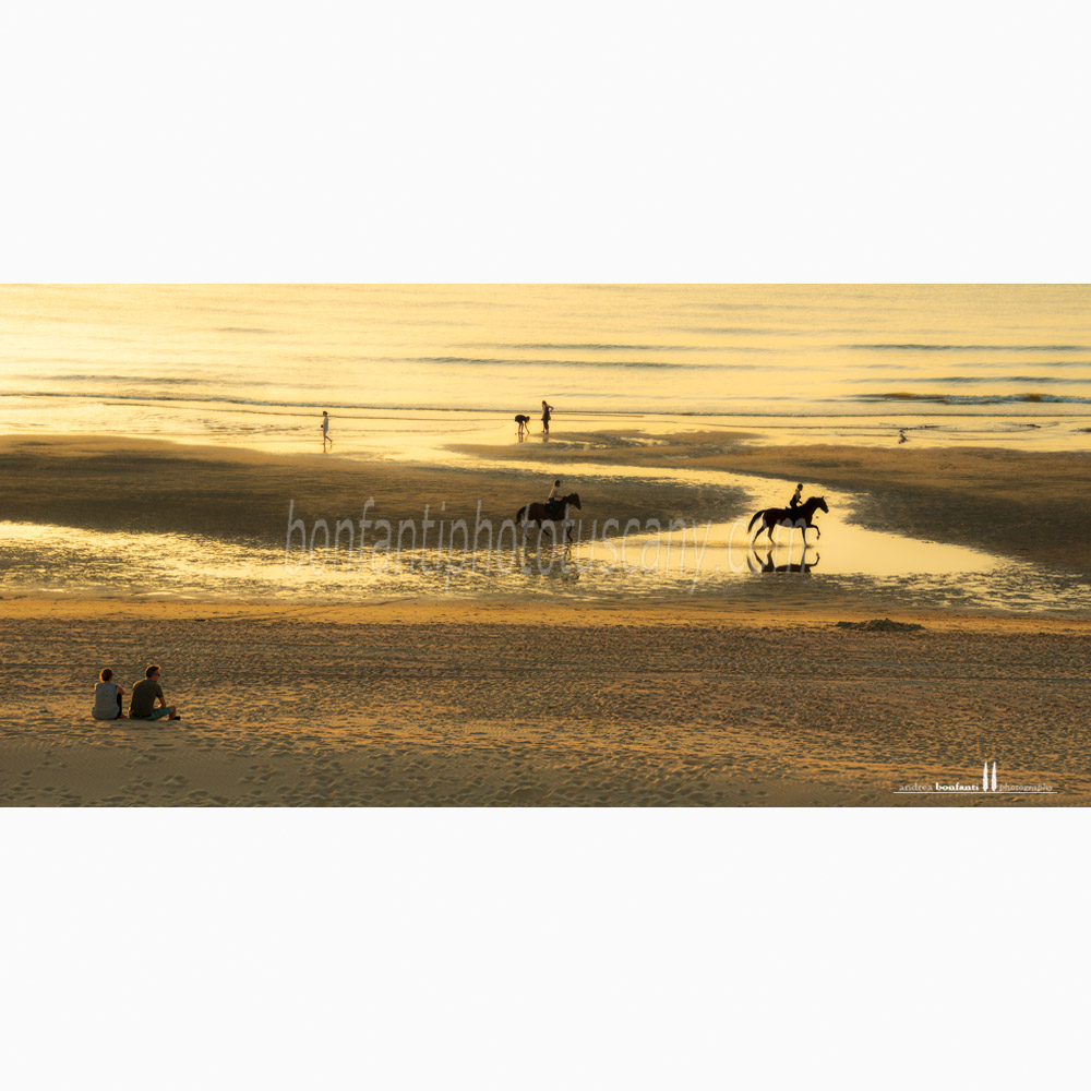 st.idesbald north sea - a quiet sunset on the beach.jpg