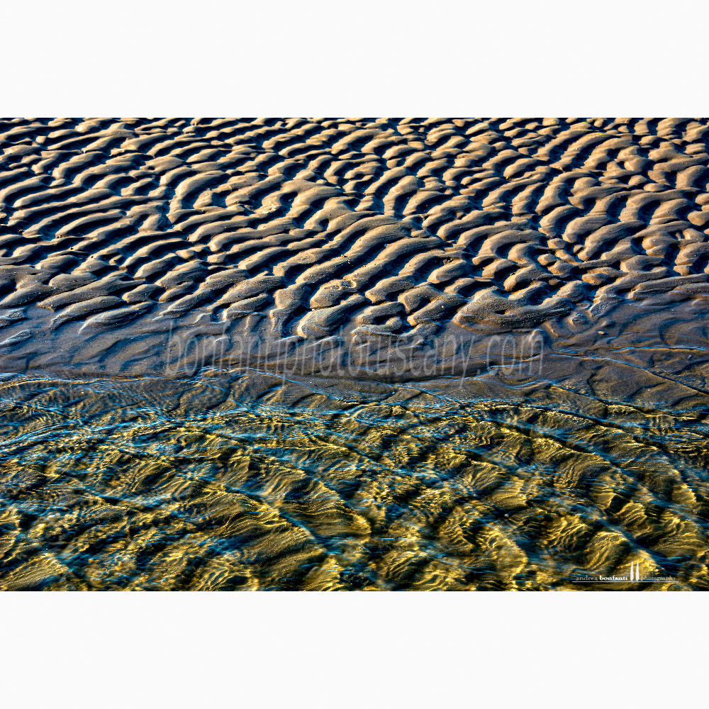 st.idesbald north sea - pattern on the shore.jpg