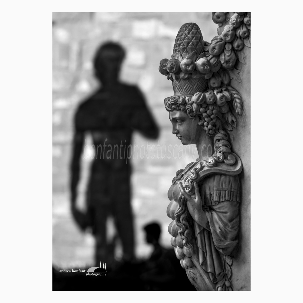 l'ombra di David in piazza Signoria.jpg