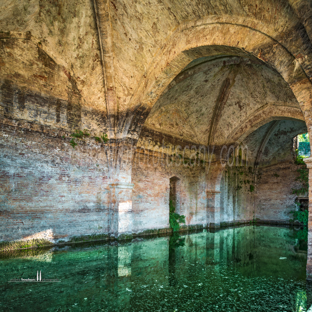 Siena - fonte di follonica #3
