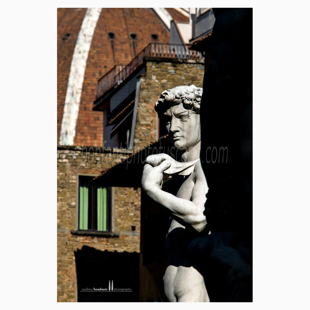 piazza signoria #4 firenze