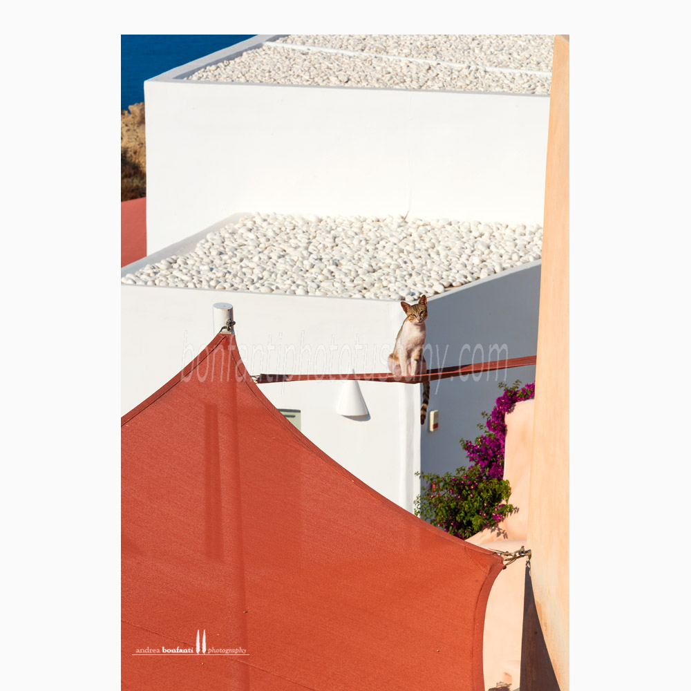 santorini #20 oia santorini #20 oia