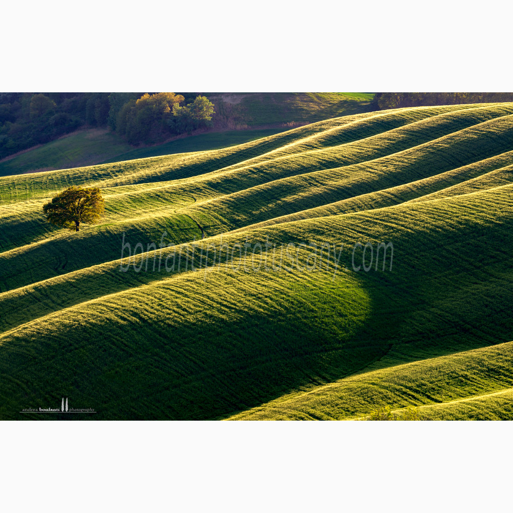 crete senesi landscape - asciano #2.jpg crete senesi landscape - asciano #2.jpg