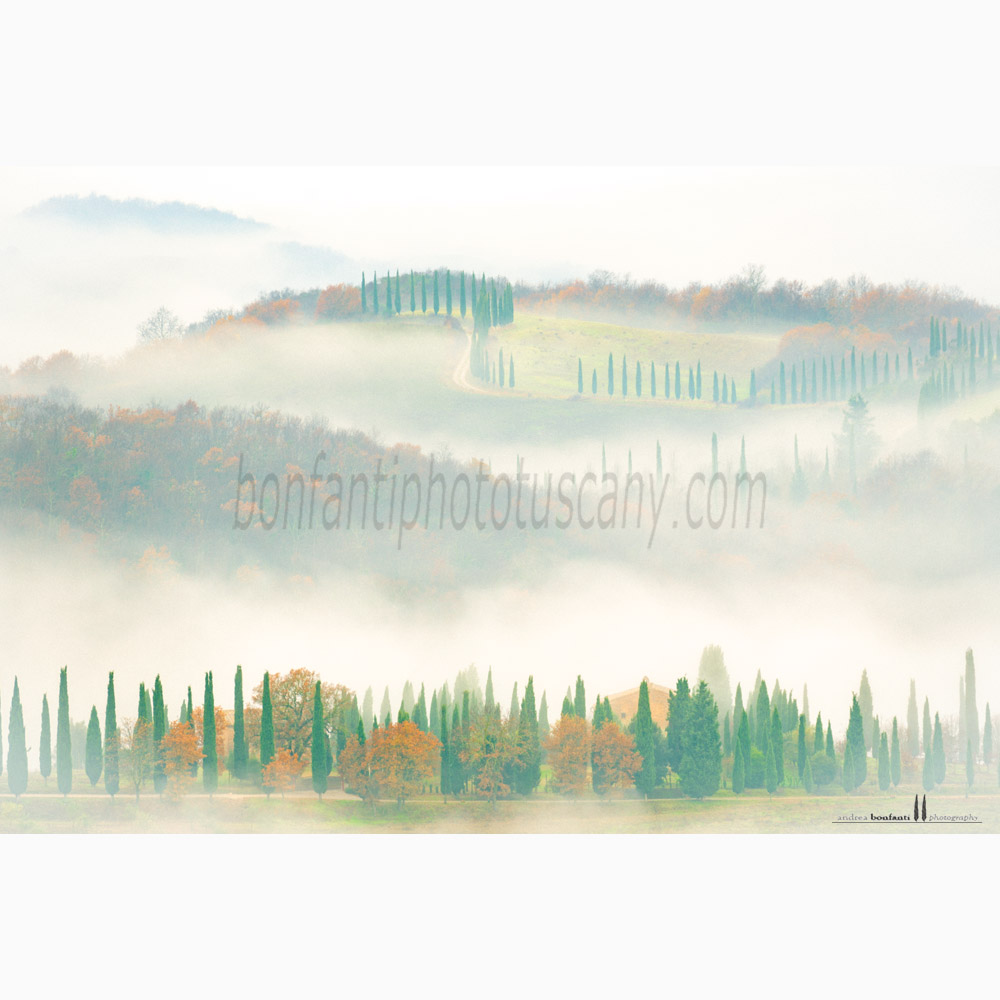 paesaggio delle crete senesi Inverno #6 asciano