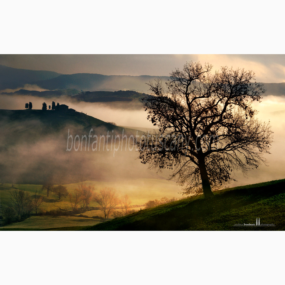 paesaggio delle crete senesi primavera #7 asciano