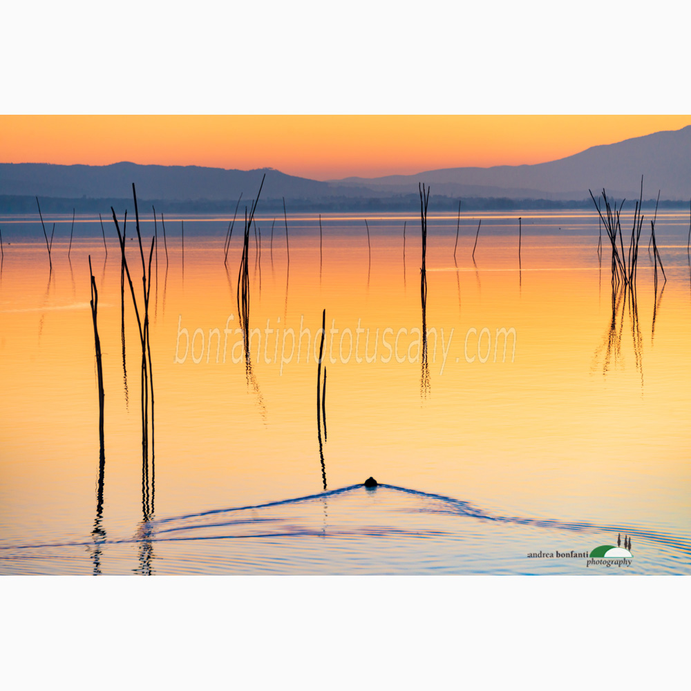 colori del lago trasimeno al tramonto.jpg