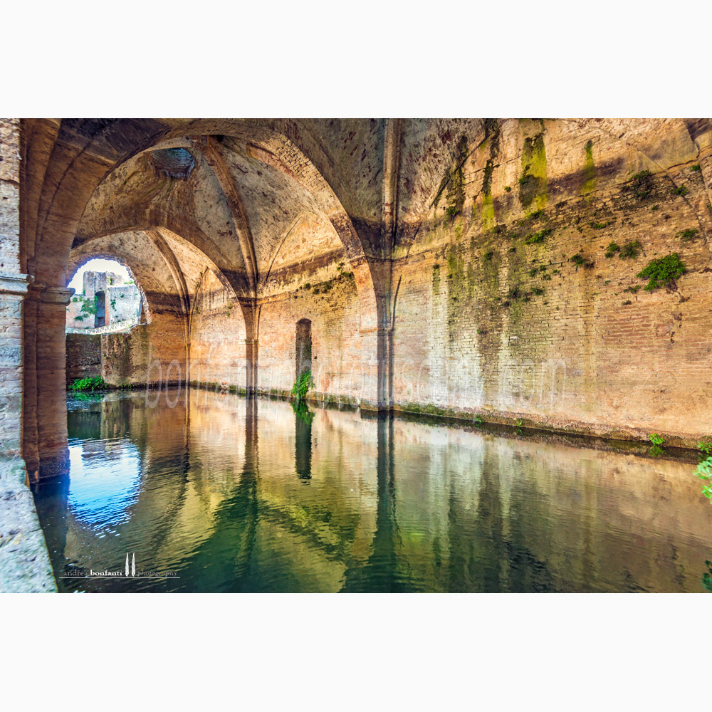 Siena - fonte di follonica#1 interno