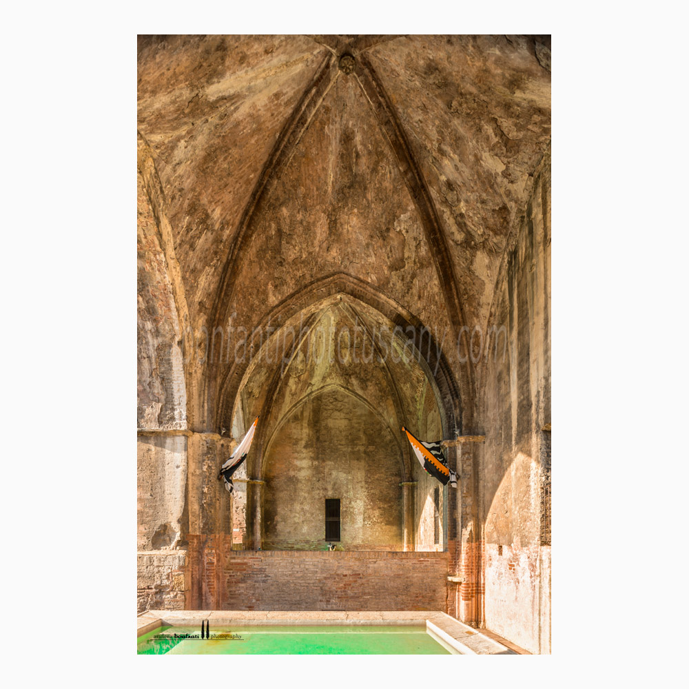 Siena - fonte di ovile #7 interno