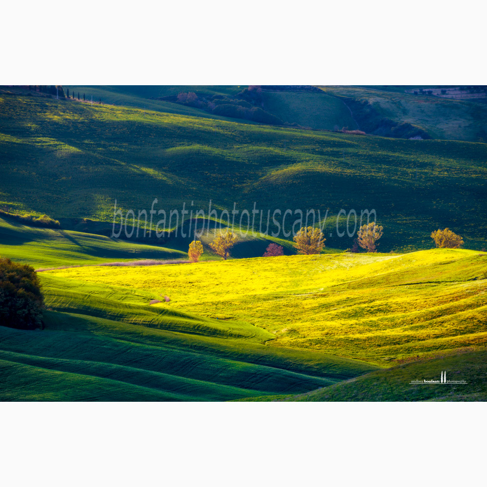 paesaggio delle crete senesi primavera #5 chiusure
