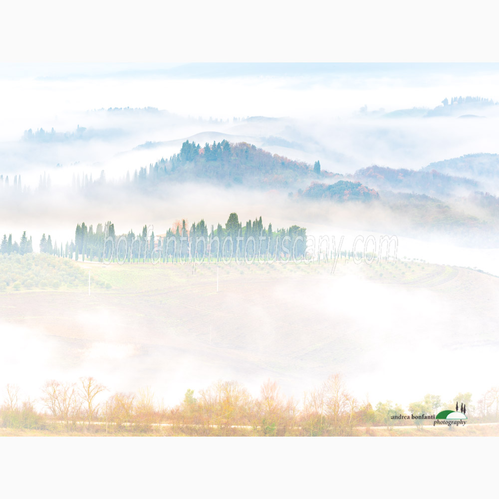 strati appiattiti e cipressi nella nebbia.jpg