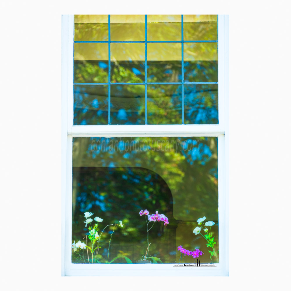 bruxelles #11 reflections on a window in square ambiorix.jpg