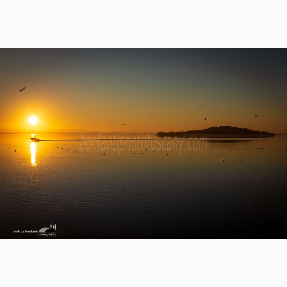 isola polvese al tramonto da san feliciano.jpg