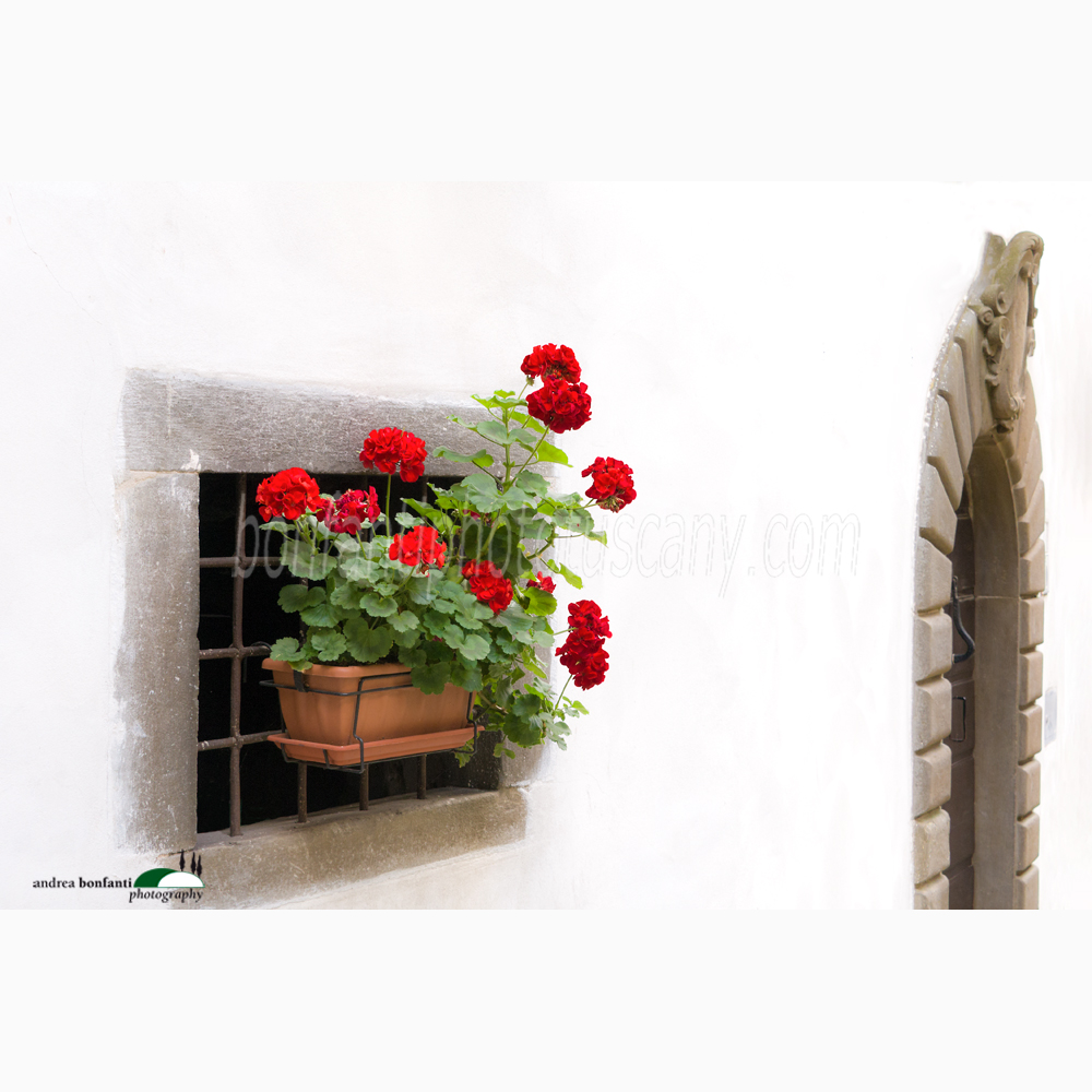 palazzo a vallico di sotto.jpg