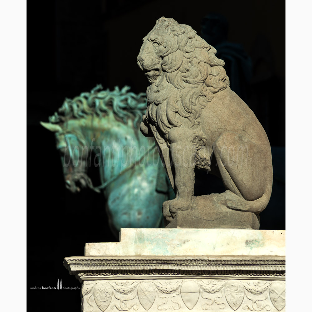 Marzocco in piazza Signoria - Firenze Marzocco in piazza Signoria - Firenze