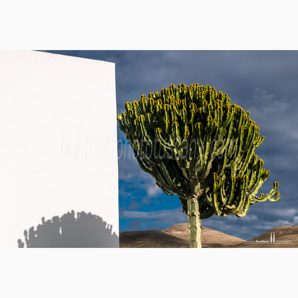 lanzarote #1 uga lanzarote #1 uga